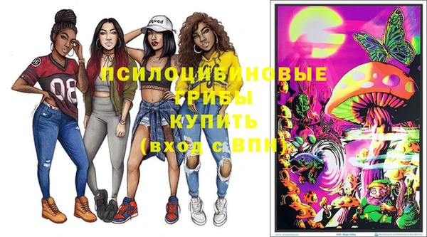 индика Магас