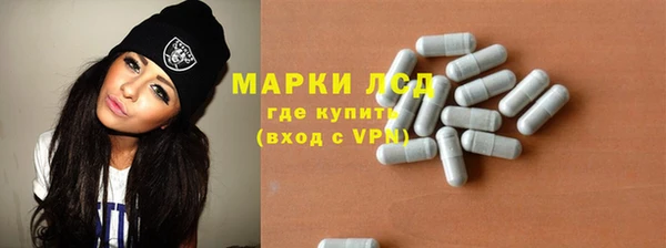 амф Снежногорск