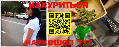 шишки Изобильный