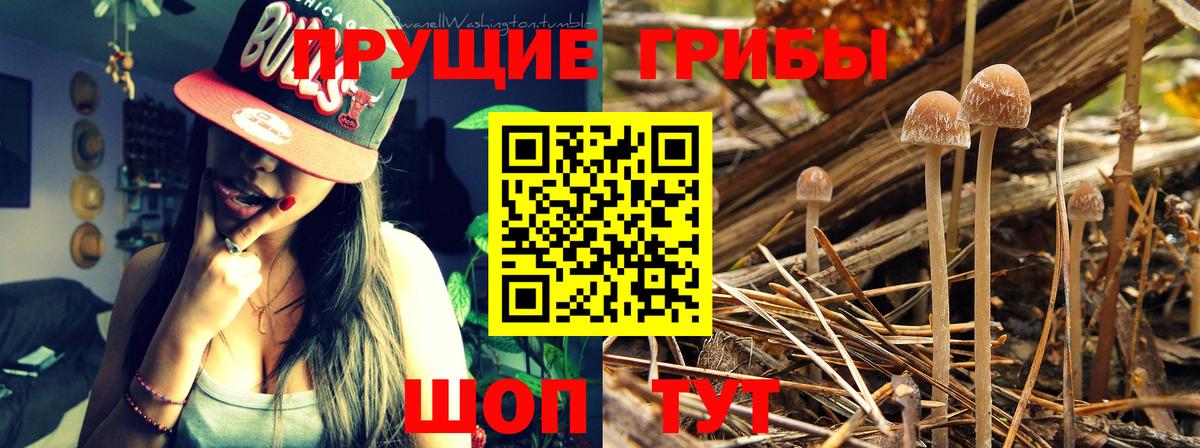 Псилоцибиновые грибы Magic Shrooms Сафоново