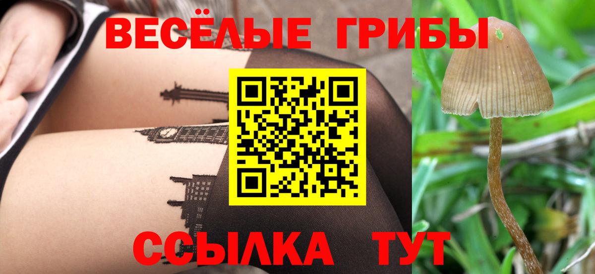 Псилоцибиновые грибы MAGIC MUSHROOMS  Вход с VPN  Сафоново 