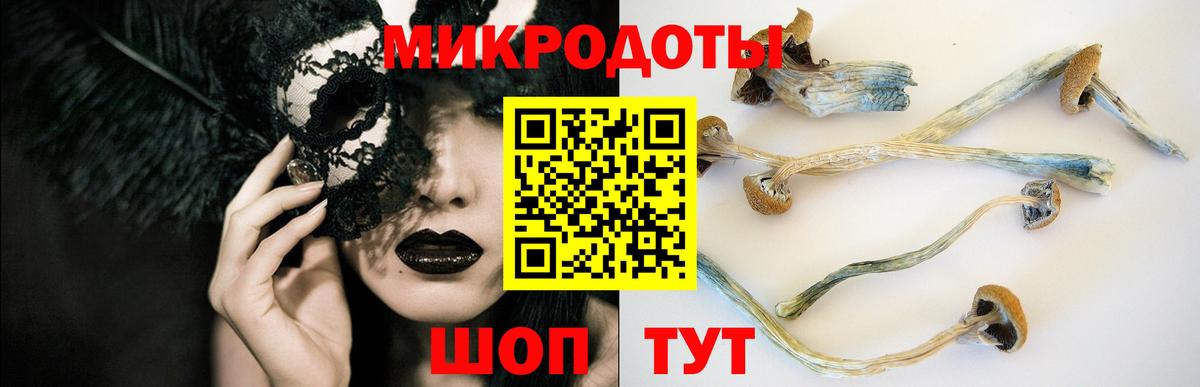 Галлюциногенные грибы Psilocybine cubensis  Псилоцибиновые грибы Cubensis  Сафоново 